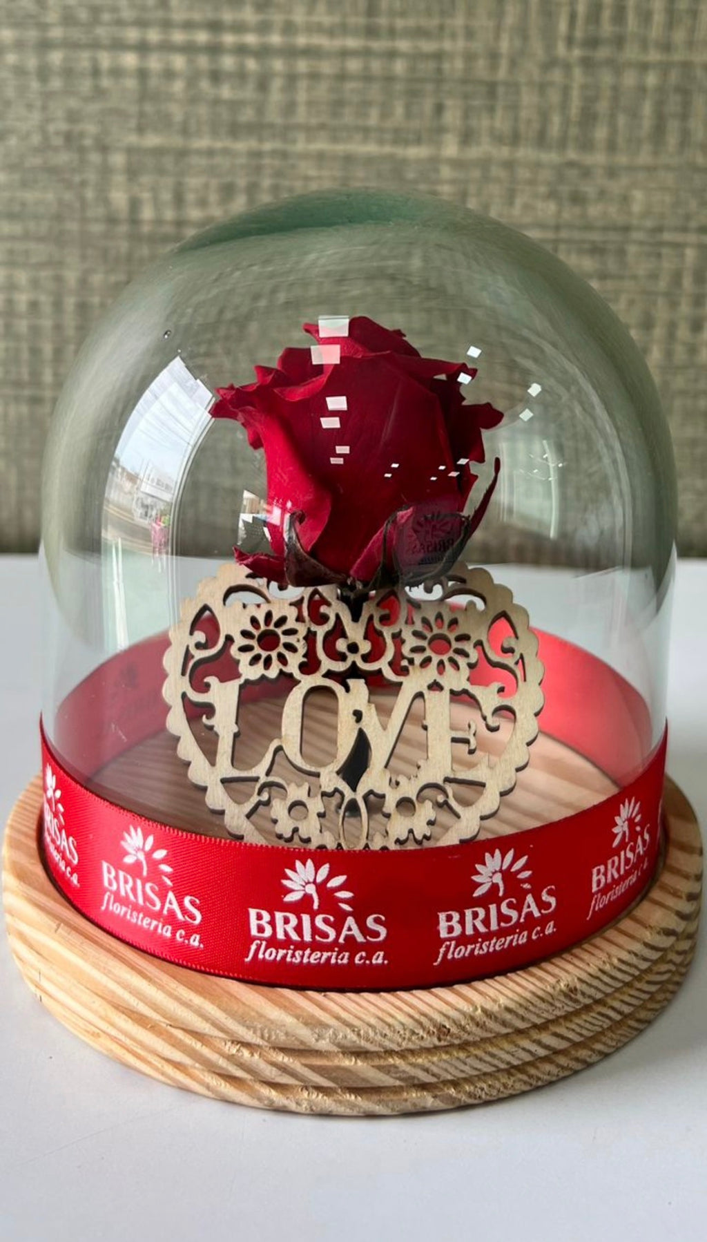 Rosa eterna cúpula pequeña