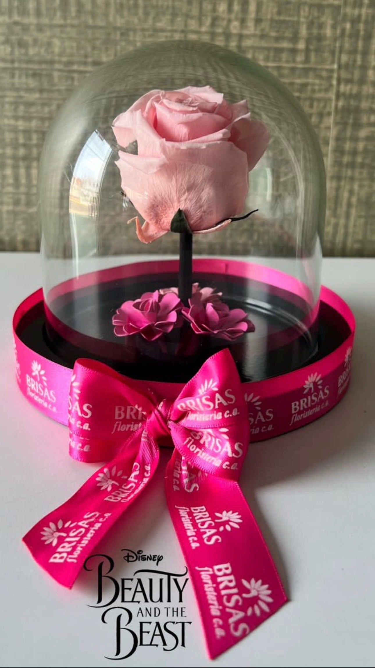 Rosa eterna cúpula pequeña