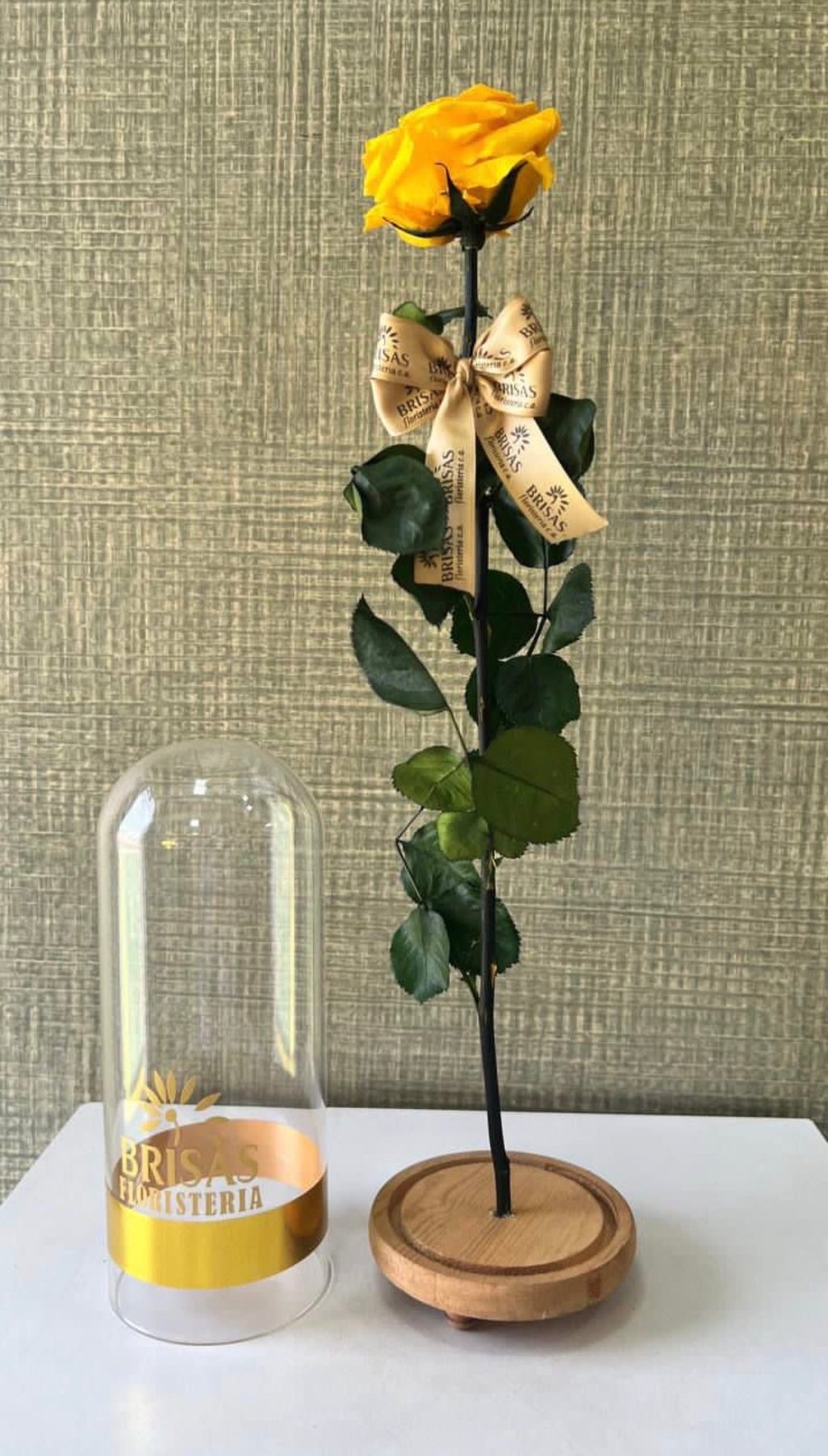 Rosa eterna cúpula grande