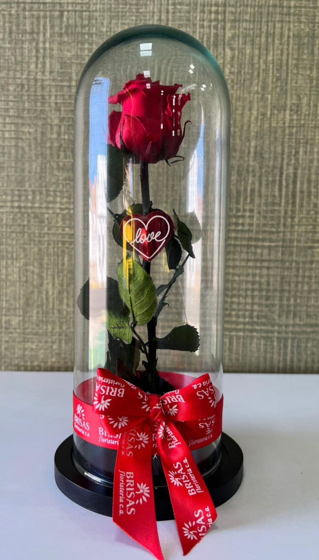 Rosa eterna cúpula grande