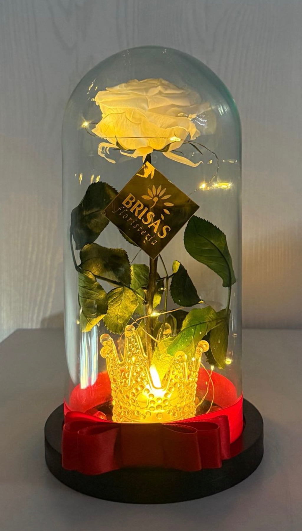 Rosa eterna cúpula grande